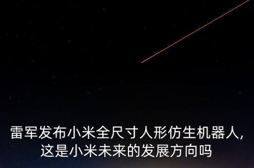 雷軍發(fā)布小米全尺寸人形仿生機(jī)器人,這是小米未來的發(fā)展方向嗎