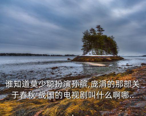 戰(zhàn)國傳奇,孫子兵法之戰(zhàn)國傳奇