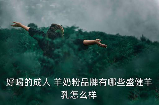 好喝的成人 羊奶粉品牌有哪些盛健羊乳怎么樣