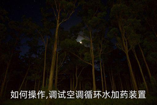 如何操作,調(diào)試空調(diào)循環(huán)水加藥裝置