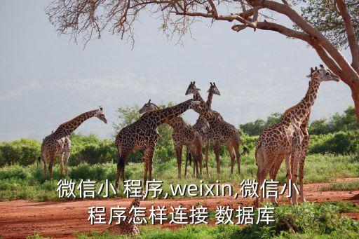 小程序有數(shù)據(jù)庫嗎,微信小程序數(shù)據(jù)庫放哪