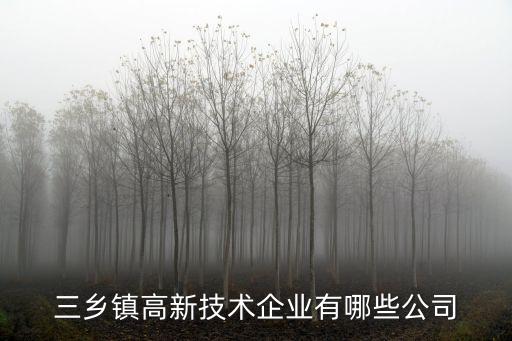 三鄉(xiāng)鎮(zhèn)高新技術(shù)企業(yè)有哪些公司