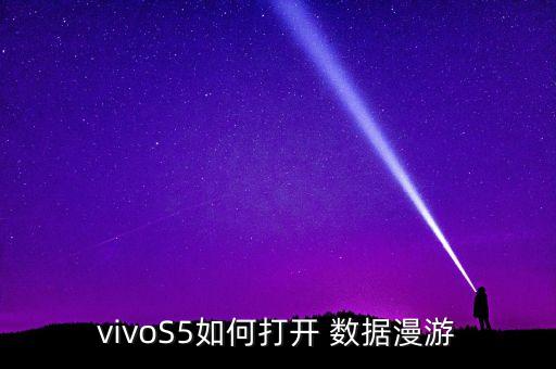 vivoS5如何打開 數(shù)據(jù)漫游