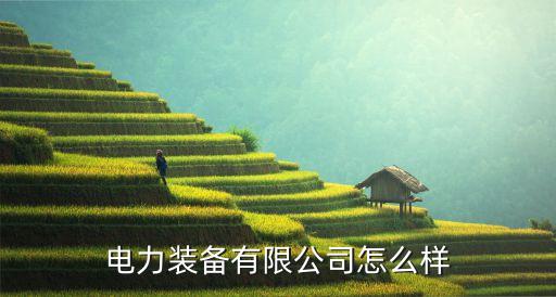 電力裝備有限公司怎么樣