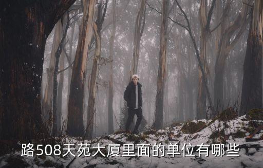 路508天苑大廈里面的單位有哪些