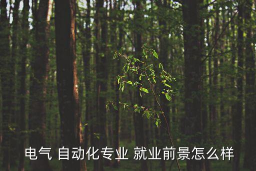  電氣 自動化專業(yè) 就業(yè)前景怎么樣