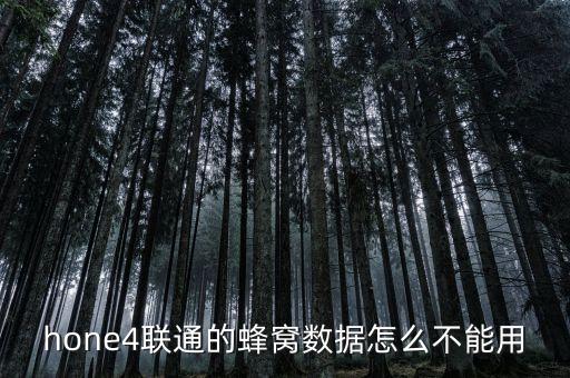 iphone4 聯(lián)通 蜂窩數(shù)據(jù)設(shè)置,聯(lián)通蜂窩數(shù)據(jù)網(wǎng)絡(luò)設(shè)置