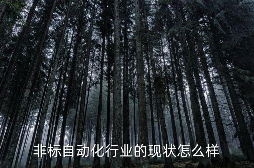 越南進(jìn)口非標(biāo)自動(dòng)化設(shè)備用戶體驗(yàn),非標(biāo)自動(dòng)化設(shè)備有哪些?
