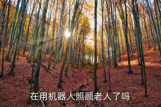 在用機(jī)器人照顧老人了嗎