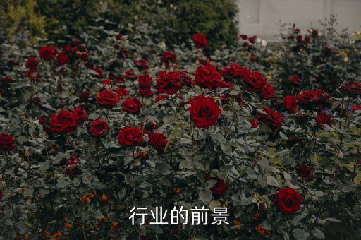 壓鑄機(jī)自動(dòng)化設(shè)備公司,十大自動(dòng)化設(shè)備公司