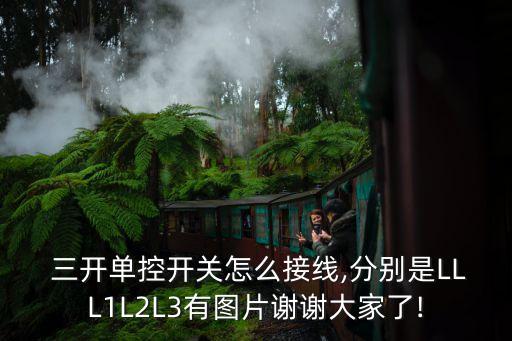  三開單控開關(guān)怎么接線,分別是LLL1L2L3有圖片謝謝大家了!