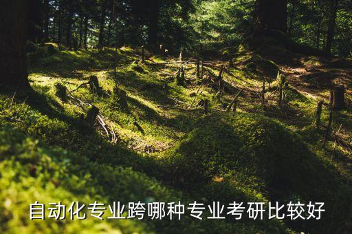 自動化考研哪些專業(yè)好調(diào)劑,計(jì)算機(jī)考研哪些學(xué)校比較好?
