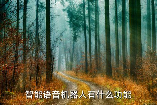智能語音機(jī)器人有什么功能