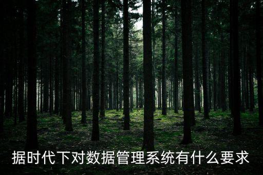 據(jù)時(shí)代下對(duì)數(shù)據(jù)管理系統(tǒng)有什么要求