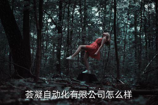 深圳 自動化設備 電鍍,深圳電鍍廠