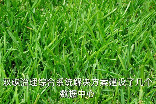 雙碳治理綜合系統(tǒng)解決方案建設(shè)了幾個(gè)數(shù)據(jù)中心