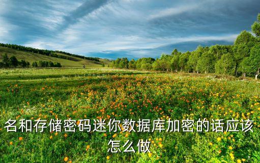 名和存儲密碼迷你數(shù)據(jù)庫加密的話應(yīng)該怎么做