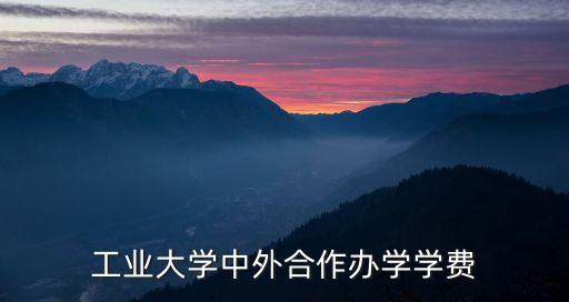 工業(yè)大學(xué)中外合作辦學(xué)學(xué)費(fèi)