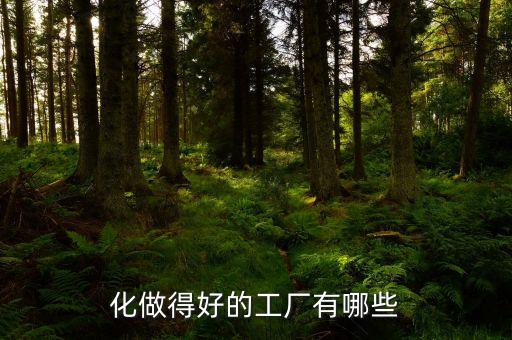 化做得好的工廠有哪些