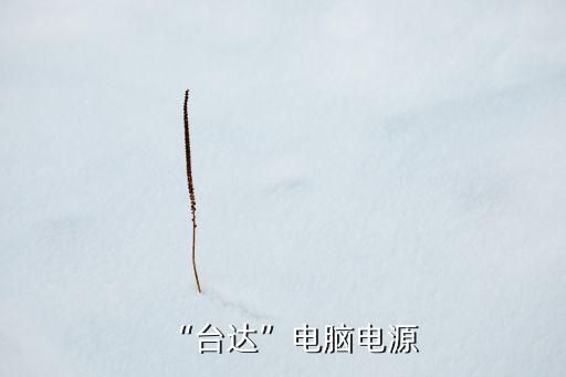“臺達(dá)”電腦電源
