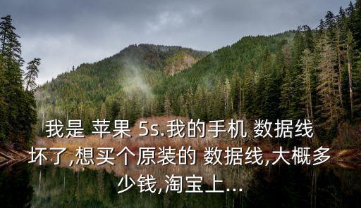 蘋果5s數(shù)據(jù)線多錢