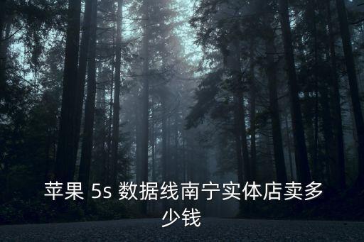  蘋果 5s 數(shù)據(jù)線南寧實(shí)體店賣多少錢