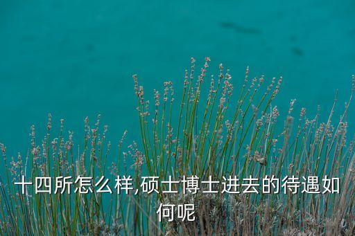 十四所怎么樣,碩士博士進去的待遇如何呢