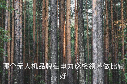 哪個無人機(jī)品牌在電力巡檢領(lǐng)域做比較好