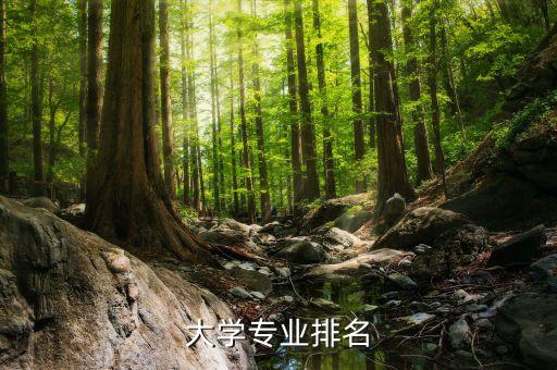 大學(xué)專業(yè)排名