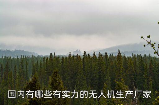 國內有哪些有實力的無人機生產廠家