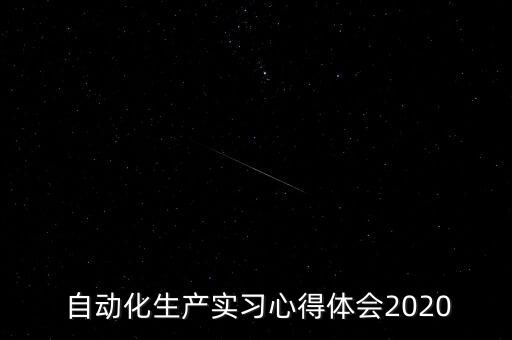  自動(dòng)化生產(chǎn)實(shí)習(xí)心得體會(huì)2020