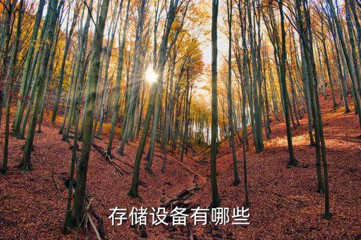 自動化倉儲物流設(shè)備生產(chǎn),煙花爆竹生產(chǎn)自動化設(shè)備