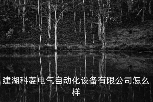 微電機(jī)自動(dòng)化設(shè)備生產(chǎn)廠家,中國生產(chǎn)自動(dòng)化設(shè)備公司有哪些?
