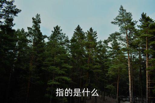 指的是什么