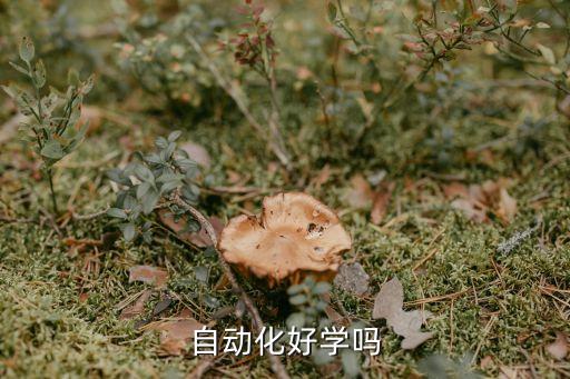 大慶電氣自動化培訓(xùn)價格,濟南電氣自動化培訓(xùn)