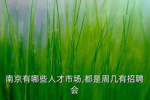 南京有哪些人才市場(chǎng),都是周幾有招聘會(huì)