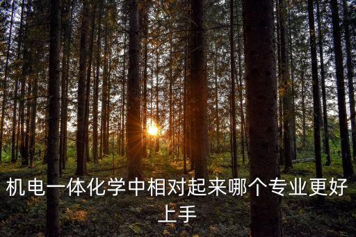 機電一體化學中相對起來哪個專業(yè)更好上手