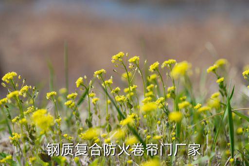 自動化設(shè)備專用左右推拉門,推拉門升降門優(yōu)缺點對比一覽