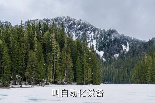 泰順自動化繞線設(shè)備廠,東莞市泰順自動化設(shè)備有限公司