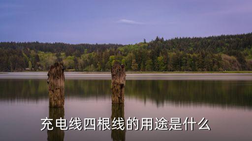 數據線的用處,雙端口數據線很有用