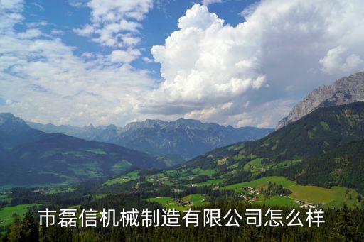 市磊信機(jī)械制造有限公司怎么樣