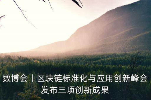 數(shù)博會丨區(qū)塊鏈標(biāo)準(zhǔn)化與應(yīng)用創(chuàng)新峰會發(fā)布三項(xiàng)創(chuàng)新成果