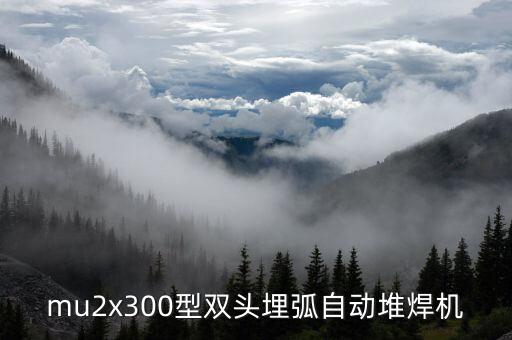 mu2x300型雙頭埋弧自動(dòng)堆焊機(jī)