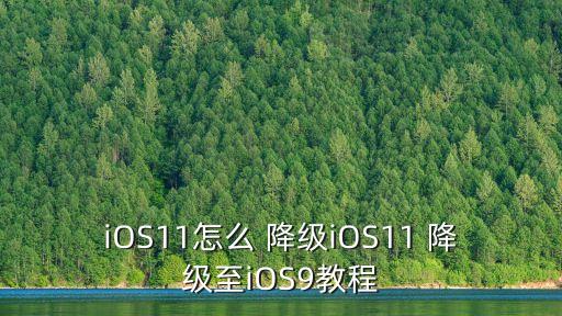 iOS11怎么 降級iOS11 降級至iOS9教程