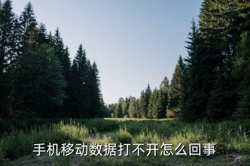 數(shù)據(jù)連接突然打不開,為什么數(shù)據(jù)連接打不開?
