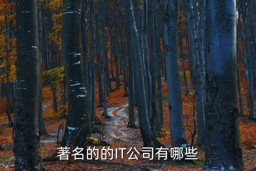 美國自動化設備軟件公司,鞍鋼自動化軟件公司