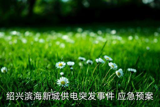 調(diào)度自動(dòng)化專業(yè)應(yīng)急演練