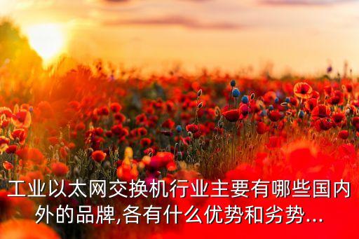 工業(yè)以太網(wǎng)交換機(jī)行業(yè)主要有哪些國(guó)內(nèi)外的品牌,各有什么優(yōu)勢(shì)和劣勢(shì)...
