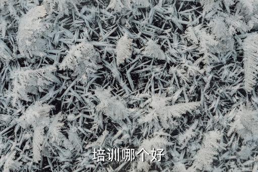 培訓(xùn)哪個好