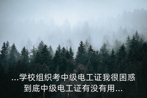 ...學(xué)校組織考中級電工證我很困惑到底中級電工證有沒有用...